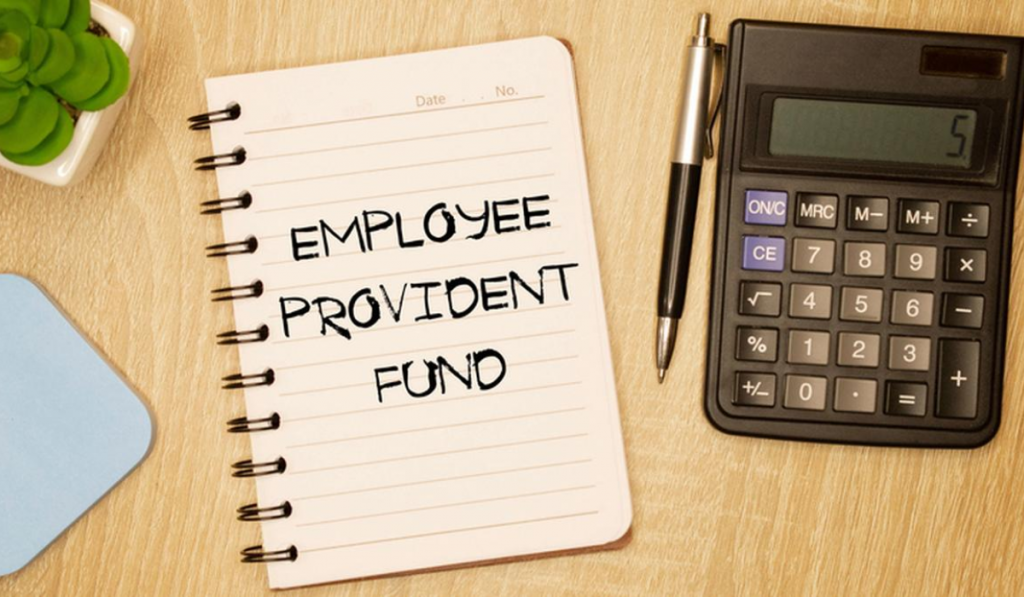 EPFO Credits 8.25% PF Interest to 34 Crore Accounts by July 15, Marks Fastest-Ever Annual Settlement
