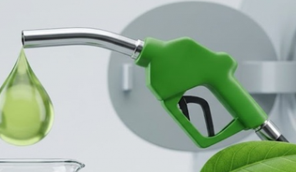 Centre rules out immediate rollout of E-25 petrol, says no decision beyond E-20 yet