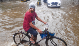 Heavy rainfall lashes Maharashtra, Palghar records 203 mm, rivers cross danger marks