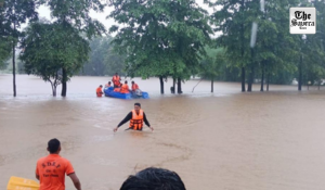 Gujarat deploys ministers, senior officials amid heavy rainfall; Valsad shuts factories for a day