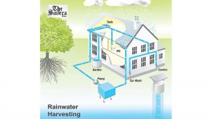 Where Rainwater Harvesting Turning Seasonal Farming into Livelihoods