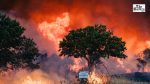 Spain Wildfire Burns 2,300 Hectares, Thousands Evacuated