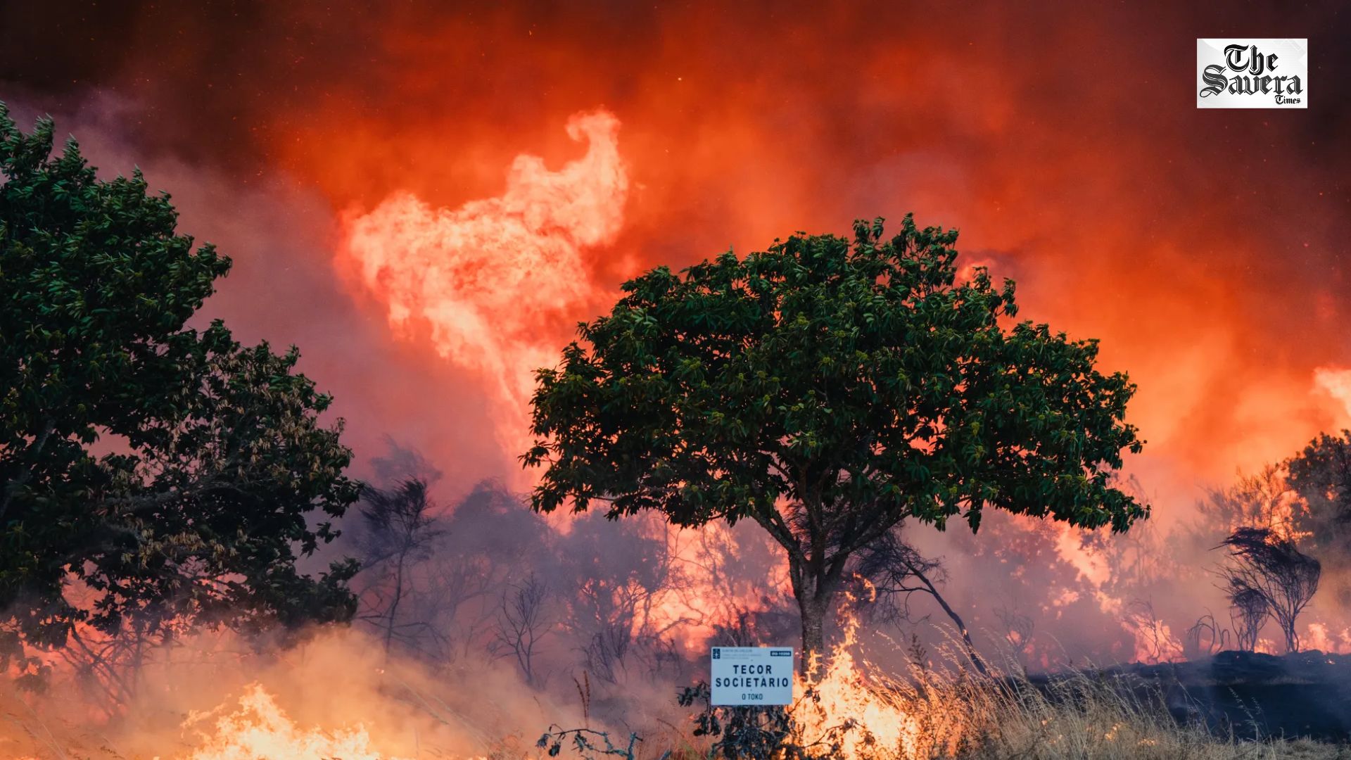 Spain Wildfire Burns 2,300 Hectares, Forces Nearly 10,000 Residents to Evacuate