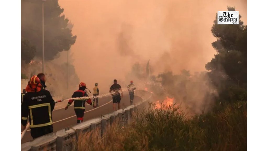 Extreme heat is rapidly becoming one of the biggest threats to global food production, putting crops, livestock, fisheries and the livelihoods of billions of people at risk