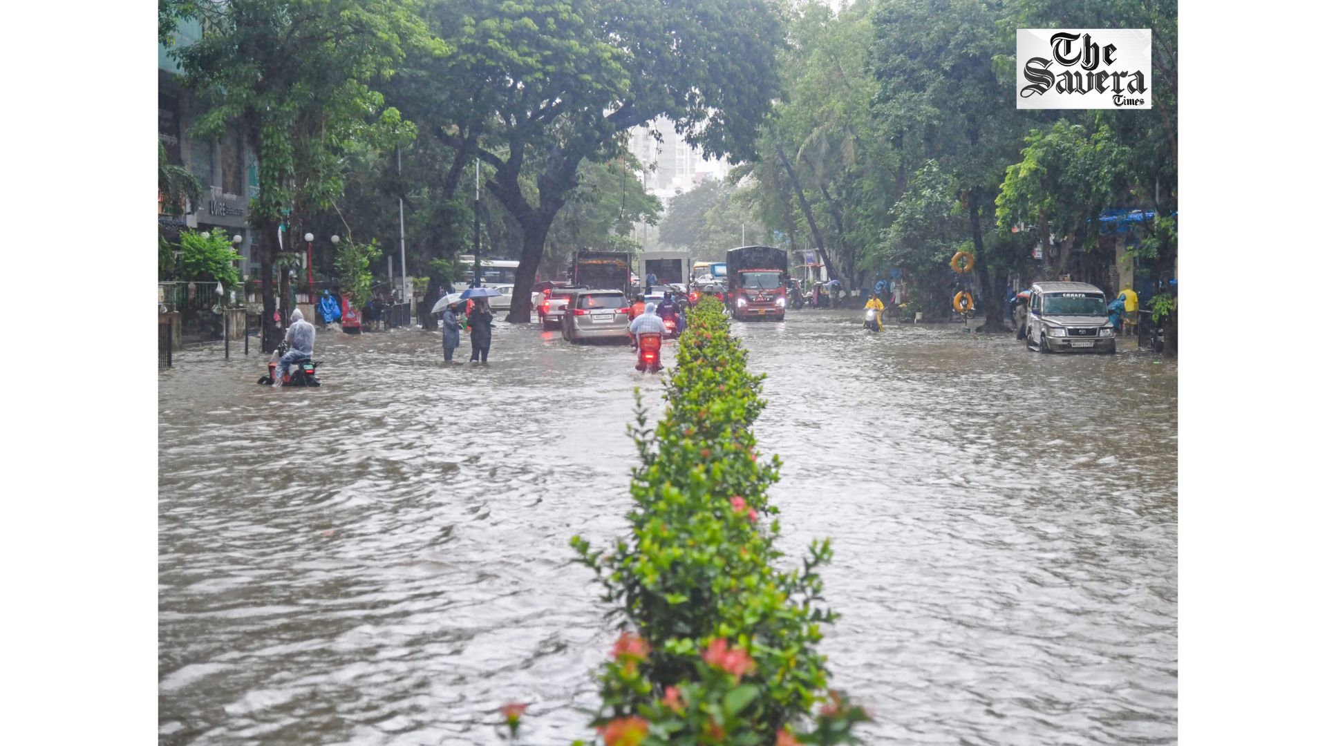 Mumbai Rains: University Cancels Exams, Dabbawalas Suspend Services Amid Red Alert