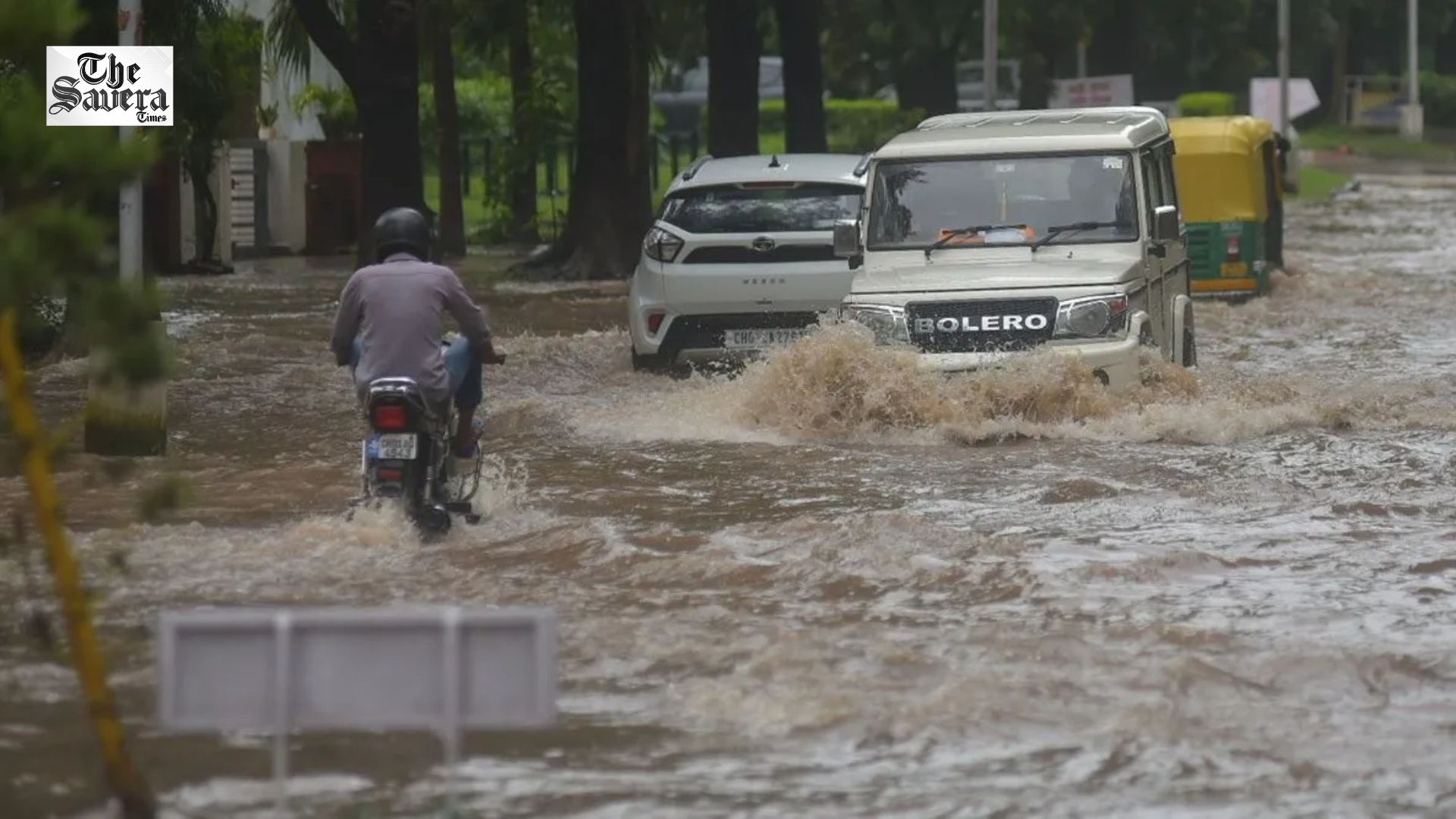 Punjab, Chandigarh Receive Heavy Rain; Trees Uprooted, Sirmaur Schools Closed After Downpour