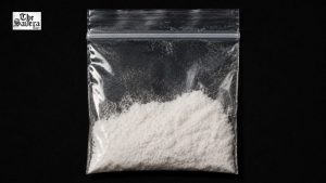 US Seizes $1.5 Million Cocaine Shipment Hidden in Air Cargo Bound for Delhi