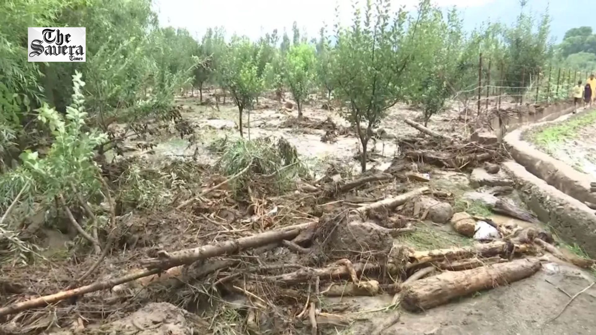 J&K: Cloudburst Triggers Flash Flood in Anantnag’s Chittergul; Residents Seek Compensation for Orchard Losses
