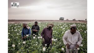 Balochistan Chaos Gives ISI Fresh Opportunity to Push Drugs Into India, Security Agencies Alert