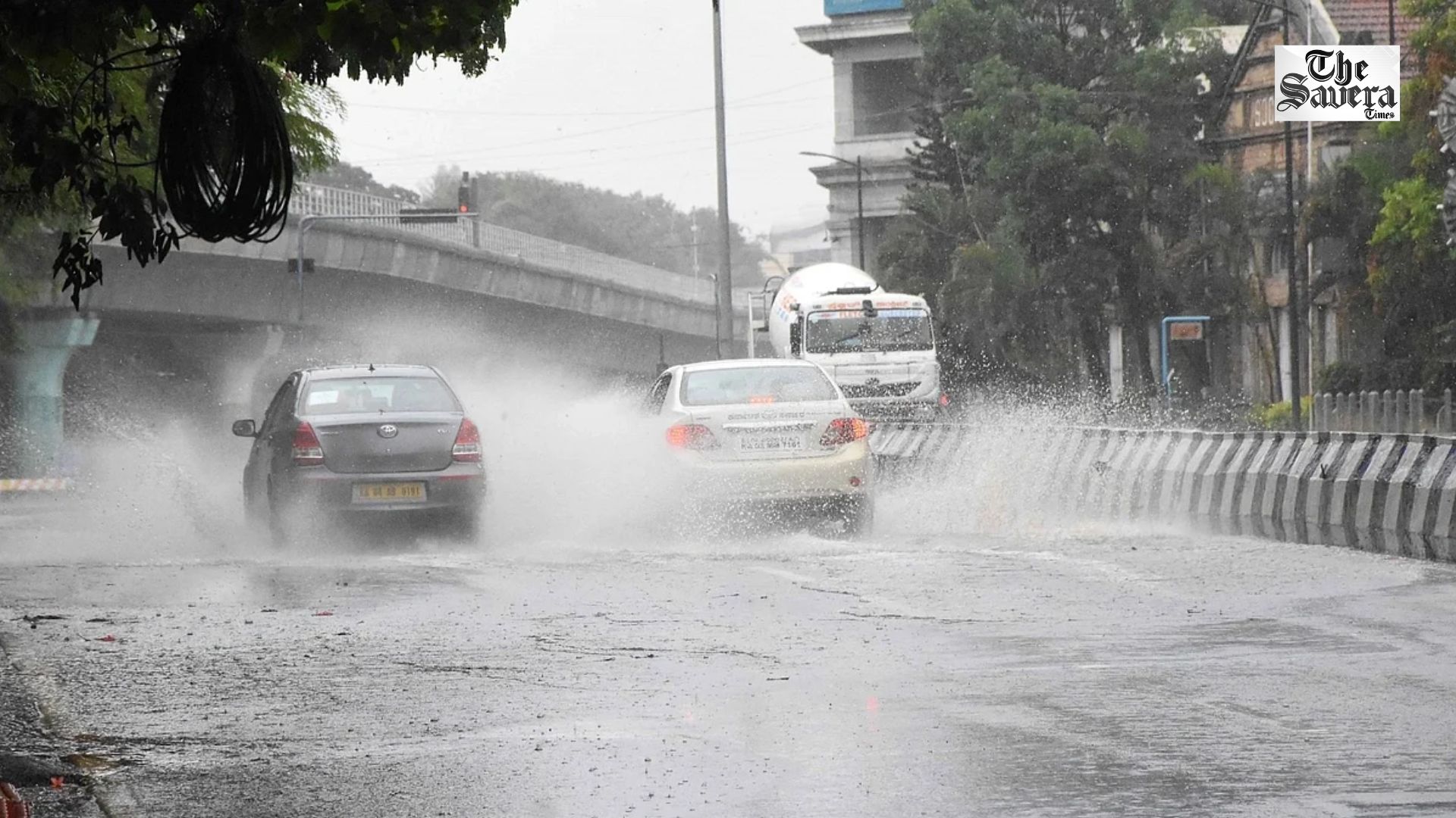 Haryana Weather: Yellow Alert for Heat and Humidity in 16 Districts, Monsoon Likely to Revive After July 20