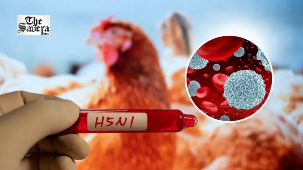 H5N1 Bird Flu Detected in New Zealand; Virus Could Become Endemic Within Months
