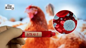H5N1 Bird Flu Likely to Become Endemic in New Zealand Within Months, Government Warns