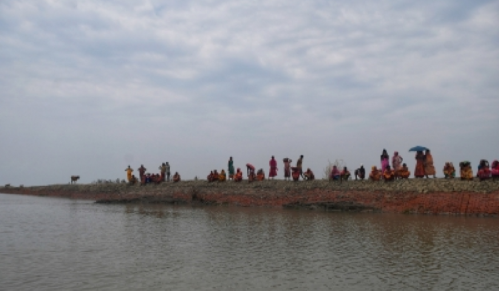 Bengal govt cracks down on fish farms built illegally after clearing Sundarbans mangroves