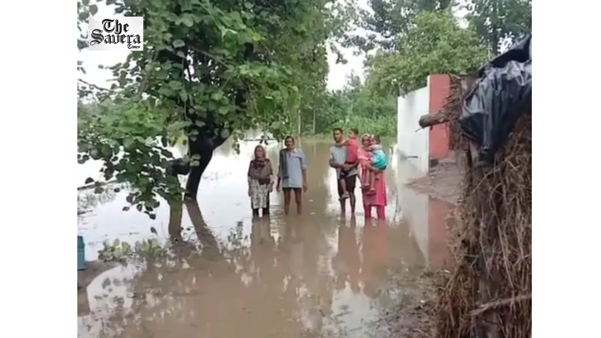 Pathankot Rains Trigger Severe Waterlogging, 150 Families Affected as Homes Flood and Children Miss School