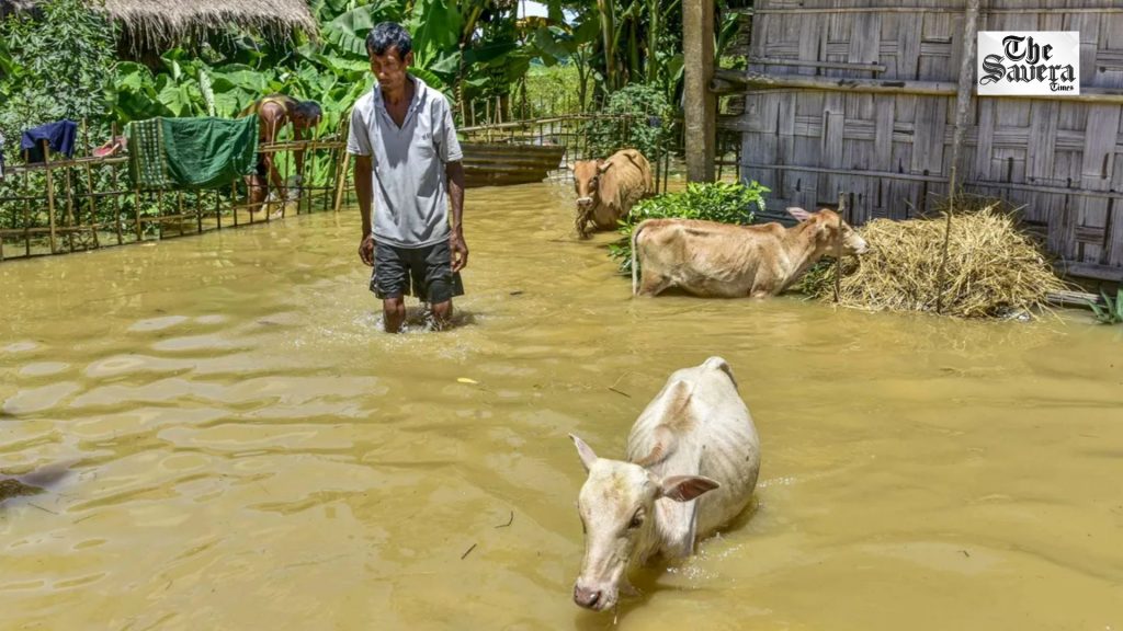 Assam Flood News: 10 Dead in 24 Hours, 6.53 Lakh Affected Across 11 Districts