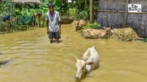 Assam Floods: 10 Dead in 24 Hours, Over 6.53 Lakh People Affected Across 11 Districts