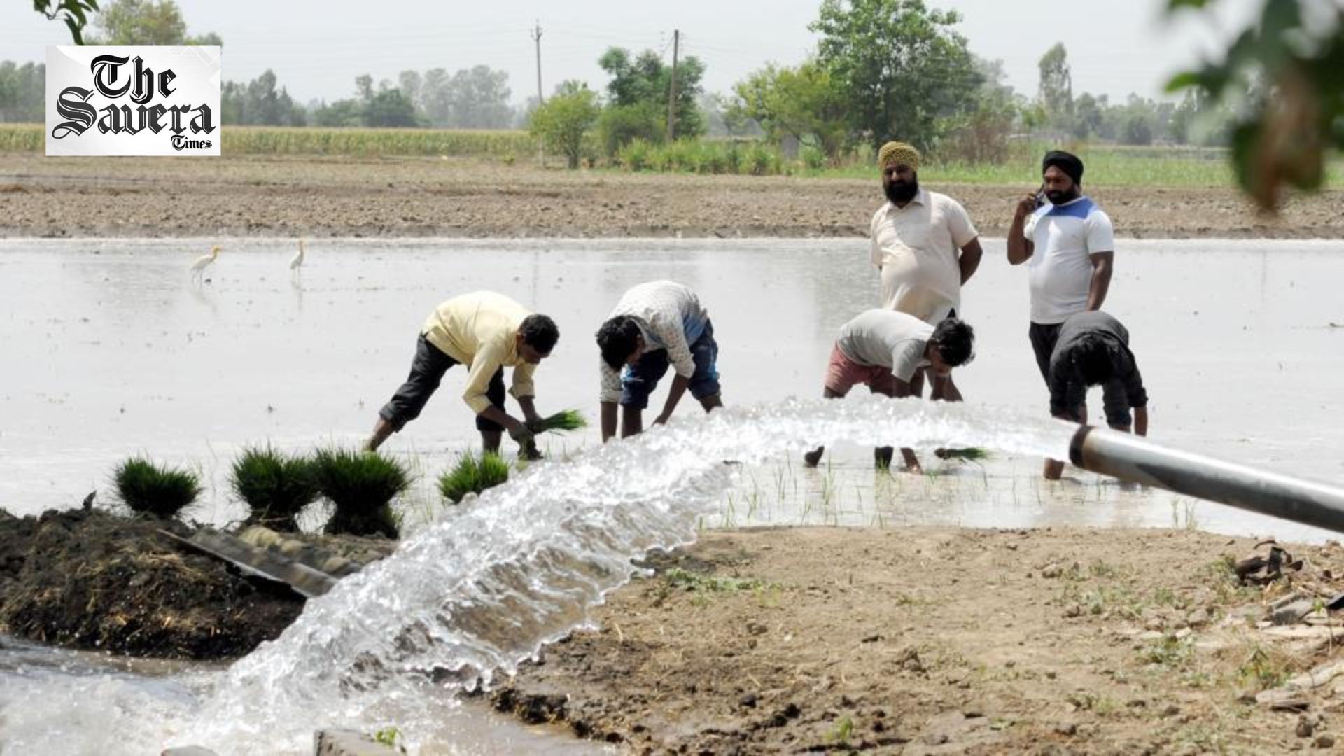 Govt Efforts to Tackle Groundwater Crisis