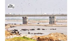 Water Woes in Indus Basin