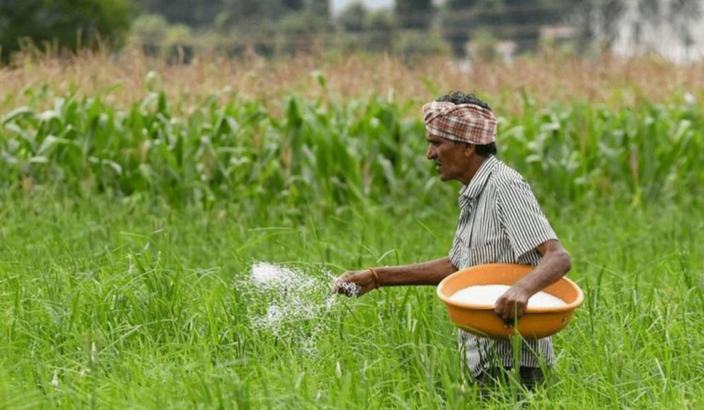 Urea Production