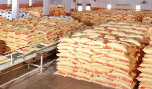 Punjab urea scam investigation handed over to SIT: Khanna SSP forms 5-member committee; search for accused on