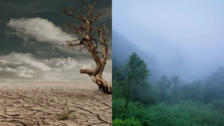 Drought-Rain Havoc