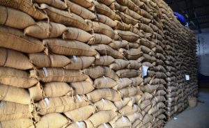 Problem of Storing Grains in Stores