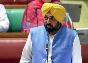 Punjab HC Orders Government to Clear DA Dues Within 15 Days, Restrains Large-Scale Ad Campaign