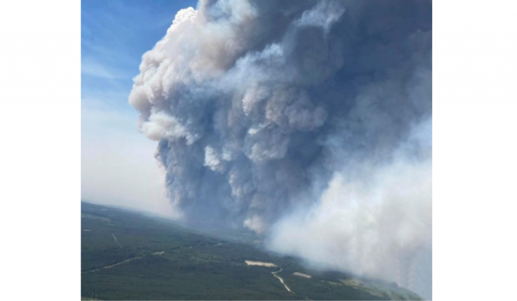 Canada's British Columbia declares state of emergency over wildfires
