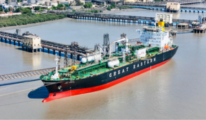 62 India-Bound Ships Safely Cross Hormuz Amid West Asia Crisis: Minister