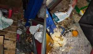 Zepto Warehouse Sealed in Hoskote Over Unhygienic Food Handling, Labelling Violations