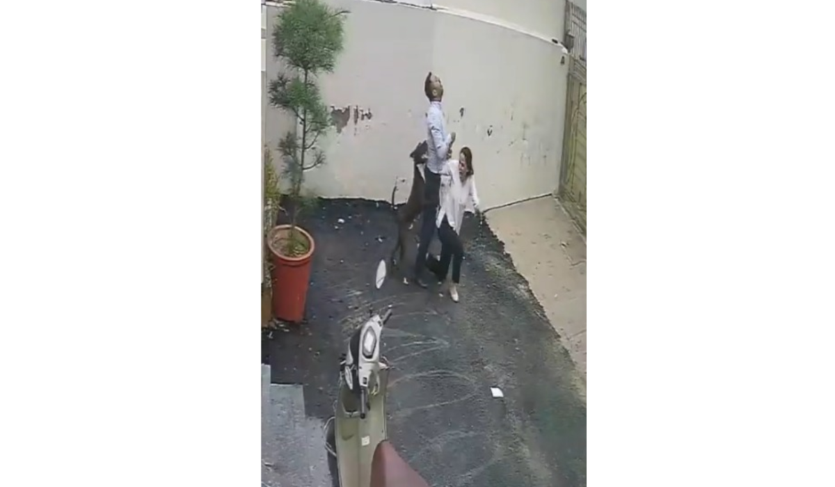Couple attacked by pitbull while viewing rental home in Punjab, video emerges