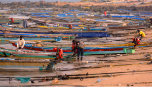 Bay of Bengal: 8 Andhra Fishermen Reported Missing