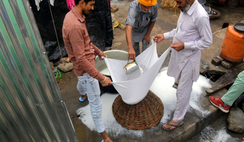 No More Fake Paneer: Himachal Bans Sale of Synthetic ‘Analogue Paneer’