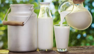 Largest Milk Producing State