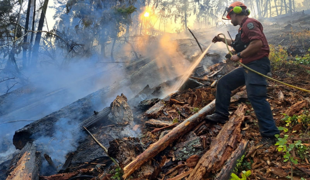 British Columbia Wildfire: More Than 20,000 Evacuated, PM Promises Federal Support