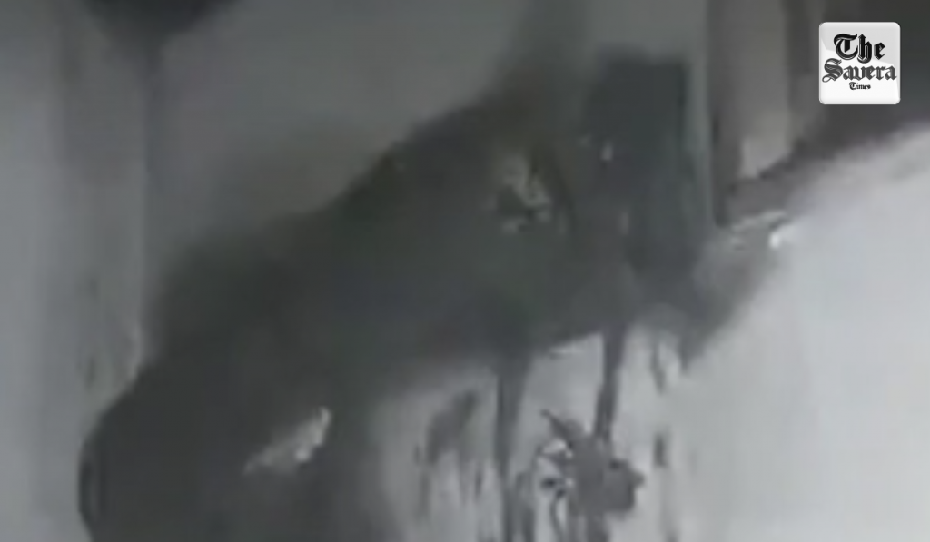 Fire Breaks Out in Newborn Ward at Jalandhar Civil Hospital, All Infants Rescued Safely