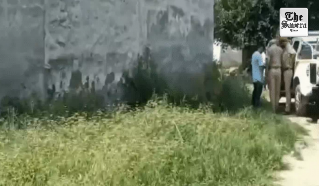 Jalandhar: Dead Body Found in Empty Plot, Sharp-Edged Weapon Injury Raises Murder Suspicion
