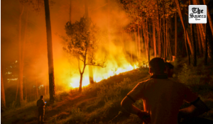 Forest Fire Guts 10 Acres in Karnataka’s Chamarajanagar, Retaliatory Act Suspected