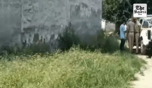 Jalandhar: Dead Body Found in Empty Plot, Sharp-Edged Weapon Injury Raises Murder Suspicion