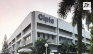 Maharashtra FDA Withdraws Cipla Facility Licence Cancellation After Bombay HC Rebuke