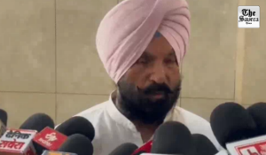 Ludhiana local Polls: Yuvraj Sidhu, Gaurav Bhatti Elected as Ludhiana MC F&CC Members, Aman Bagga Loses