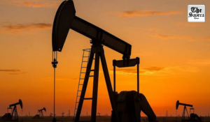 India Emerges as Key Petrol Exporter to Russia Amid Refinery Shutdowns