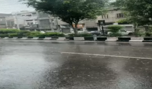 Punjab, Chandigarh Under Yellow Alert as Monsoon Turns Active; Rain Likely in Several Areas