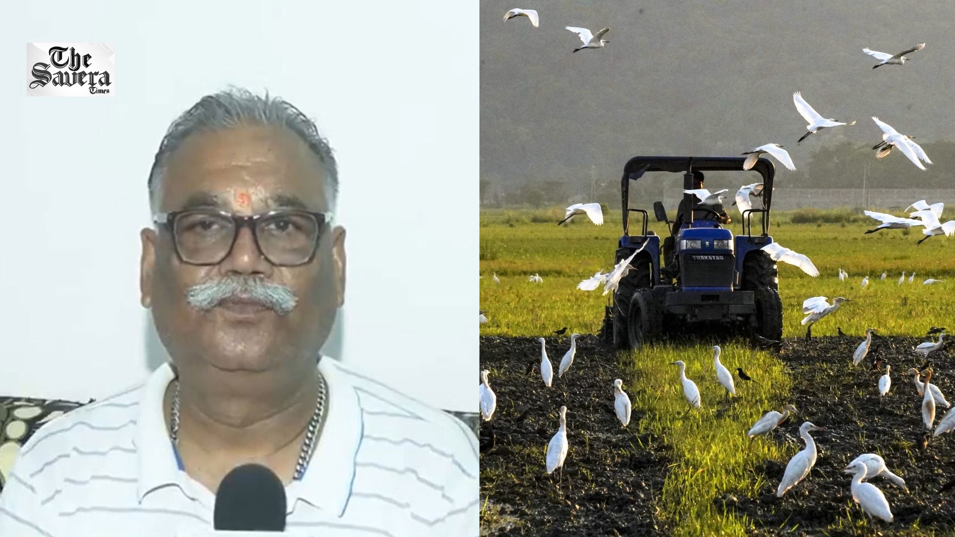 E20 Blending Boosts Punjab Farmers’ Income, Eases Millers’ Burden: Amritsar Rice Millers Association