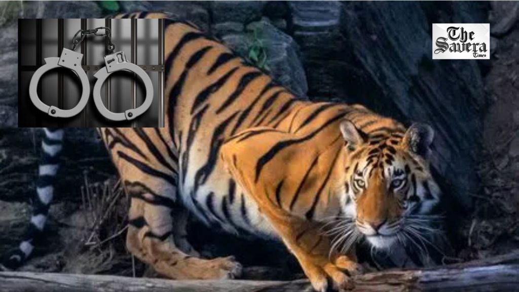 Two Arrested in Andhra's Nallamalla Tiger Death Case; Probe Intensifies