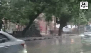 Monsoon Remains Active in Chandigarh, Punjab; Rain to Continue Till August 12