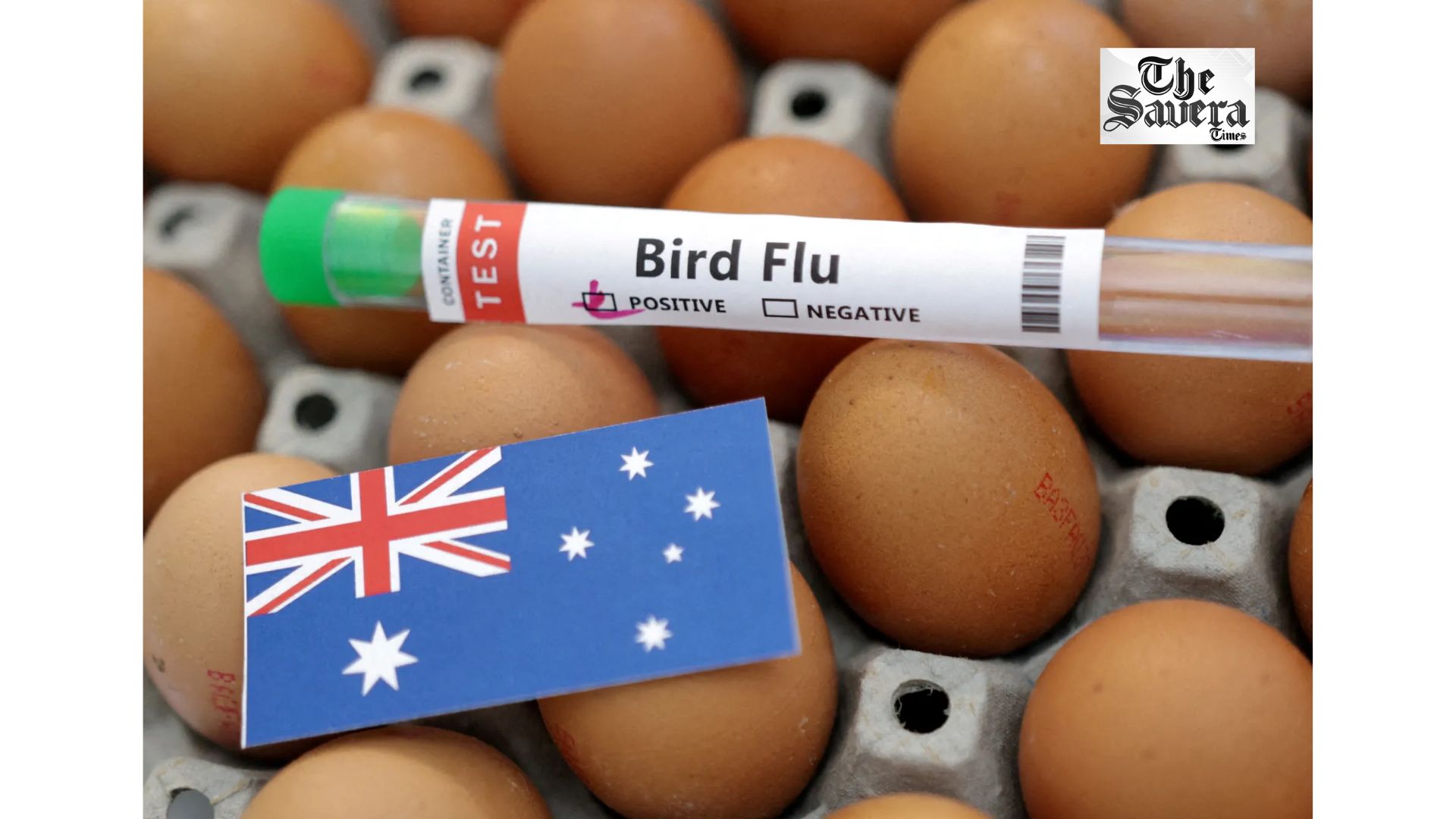 Australia H5N1 Bird Flu Cases Cross 200 as Victoria Tightens Measures