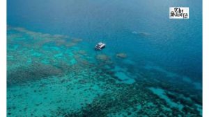 New Tool to Assess Great Barrier Reef Health