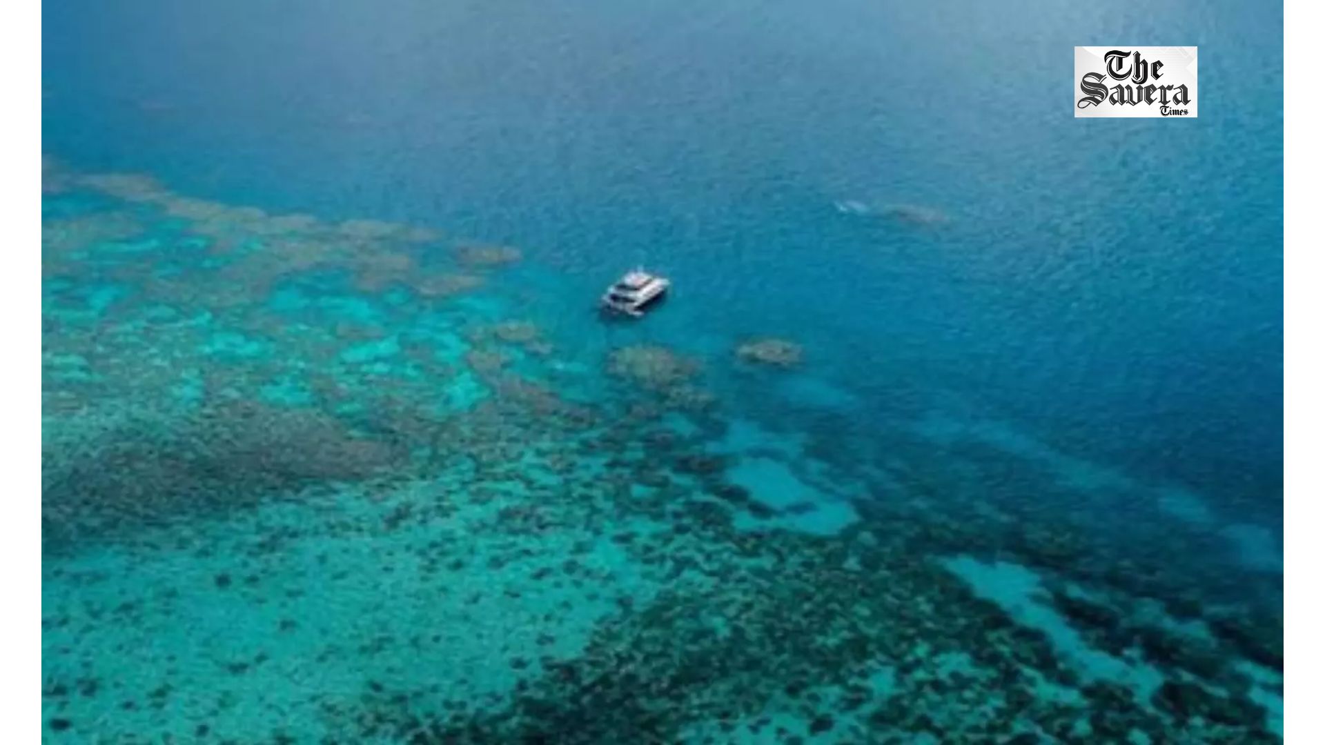 New Tool to Assess Great Barrier Reef Health
