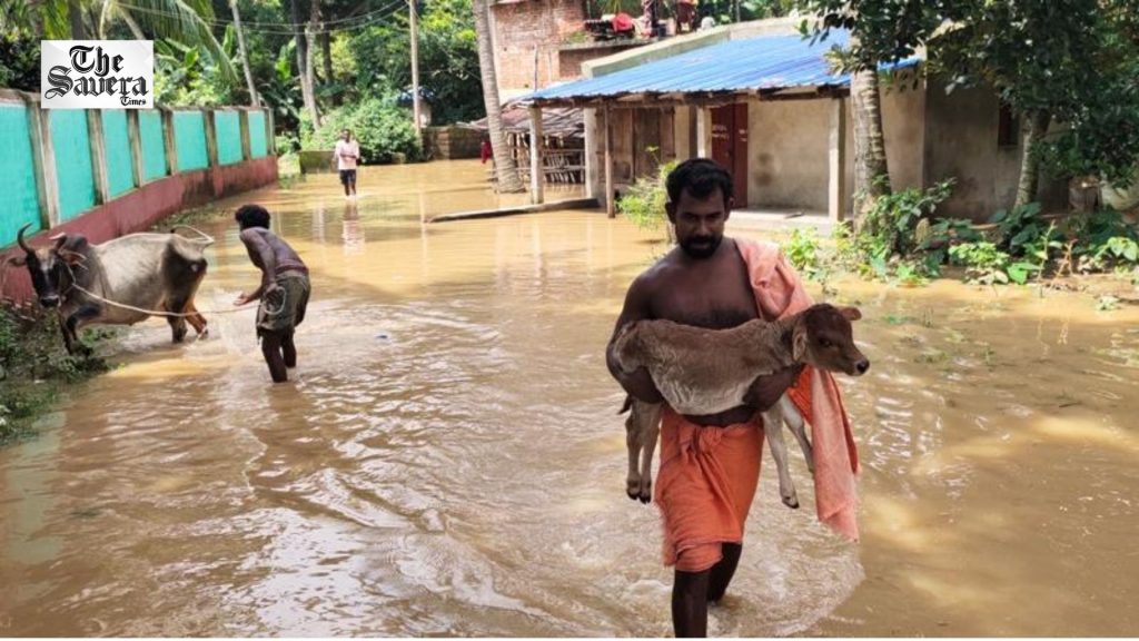 Odisha flood situation remains grim; over 13.44 lakh people affected across seven districts